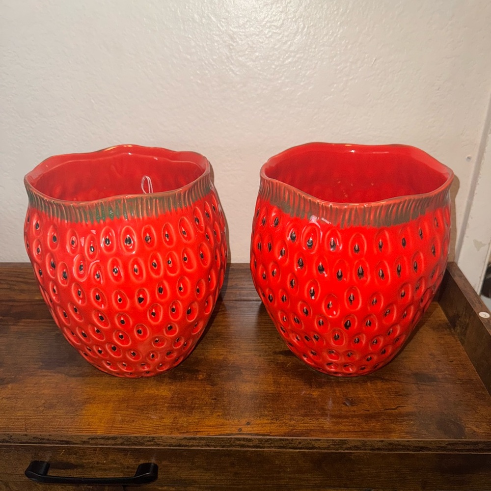 NEW viral House & Garden strawberry planter
